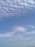 CA310638.JPG