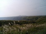 PAP_0651.JPG